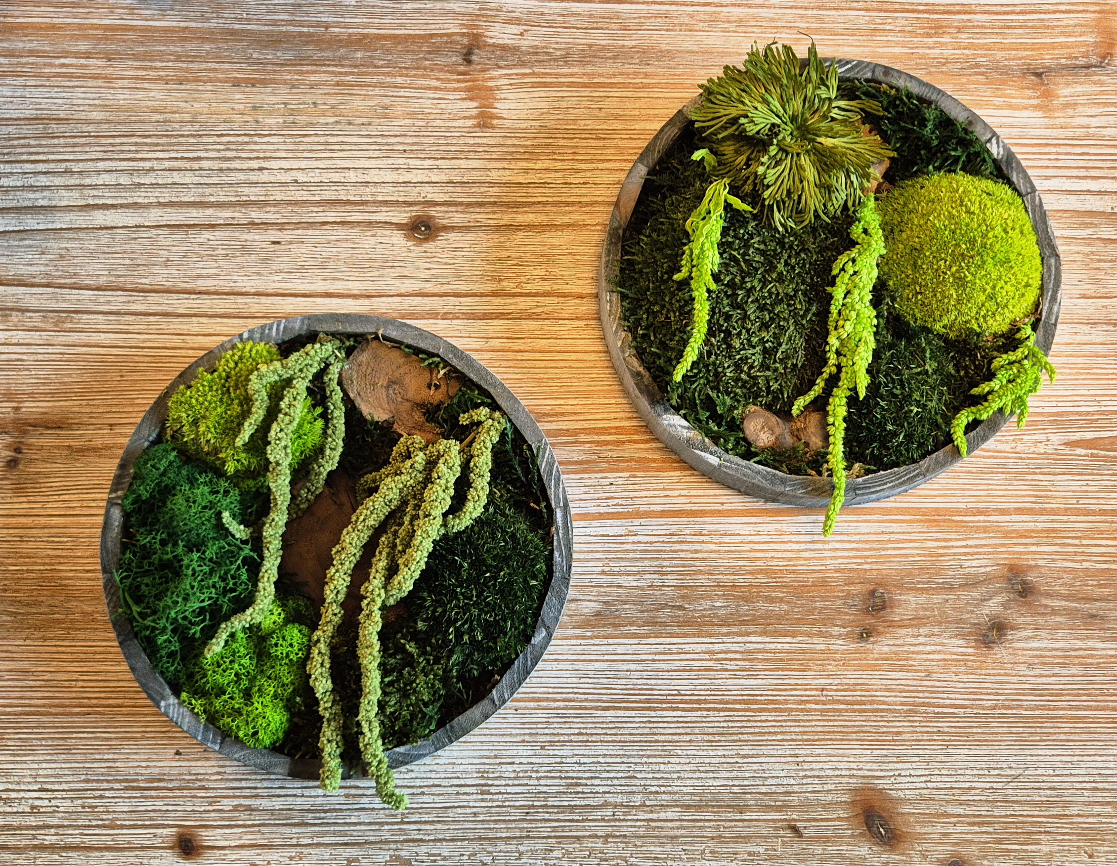 Tableau végétal stabilisé