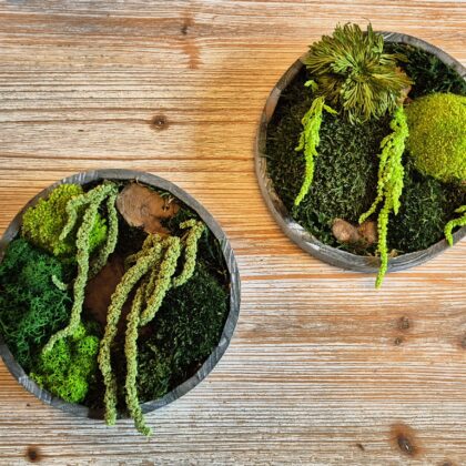 Tableau en végétaux stabilisés