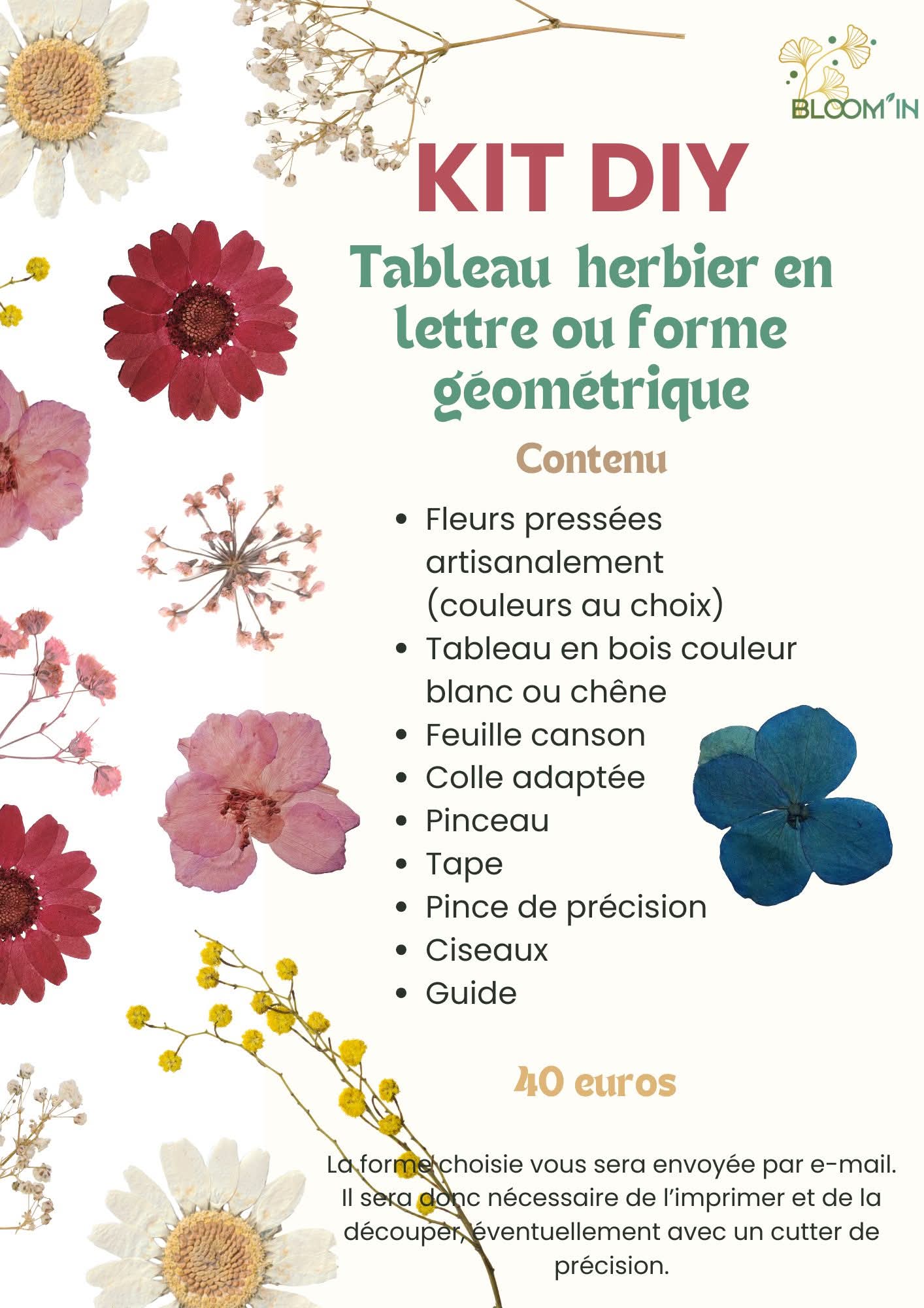 Kit DIY Herbier - Image 2