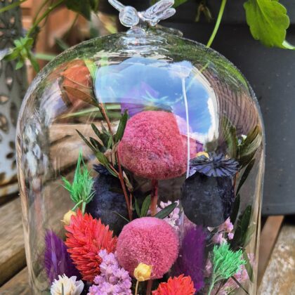 Cloche Libellule