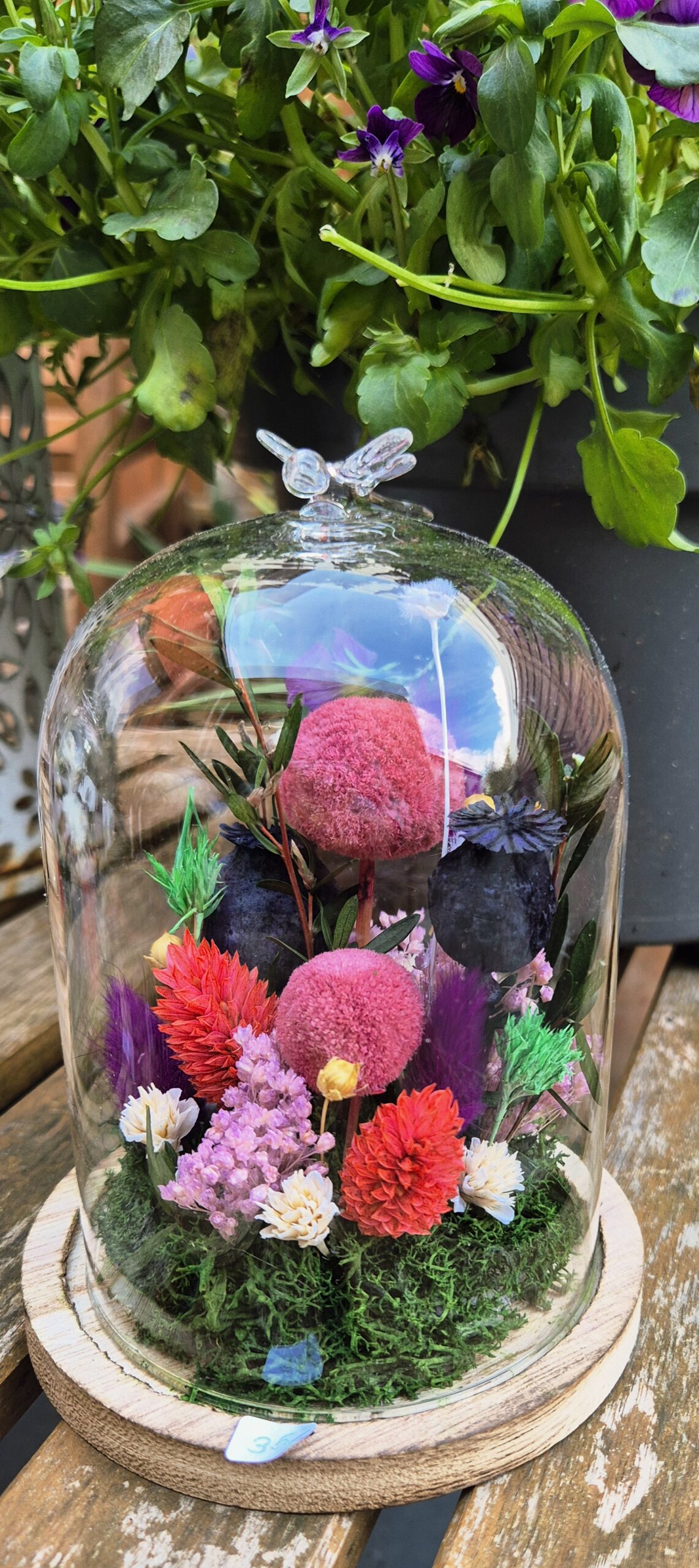 Cloche Libellule