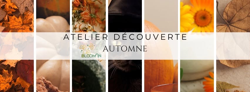Mini atelier découverte - Automne